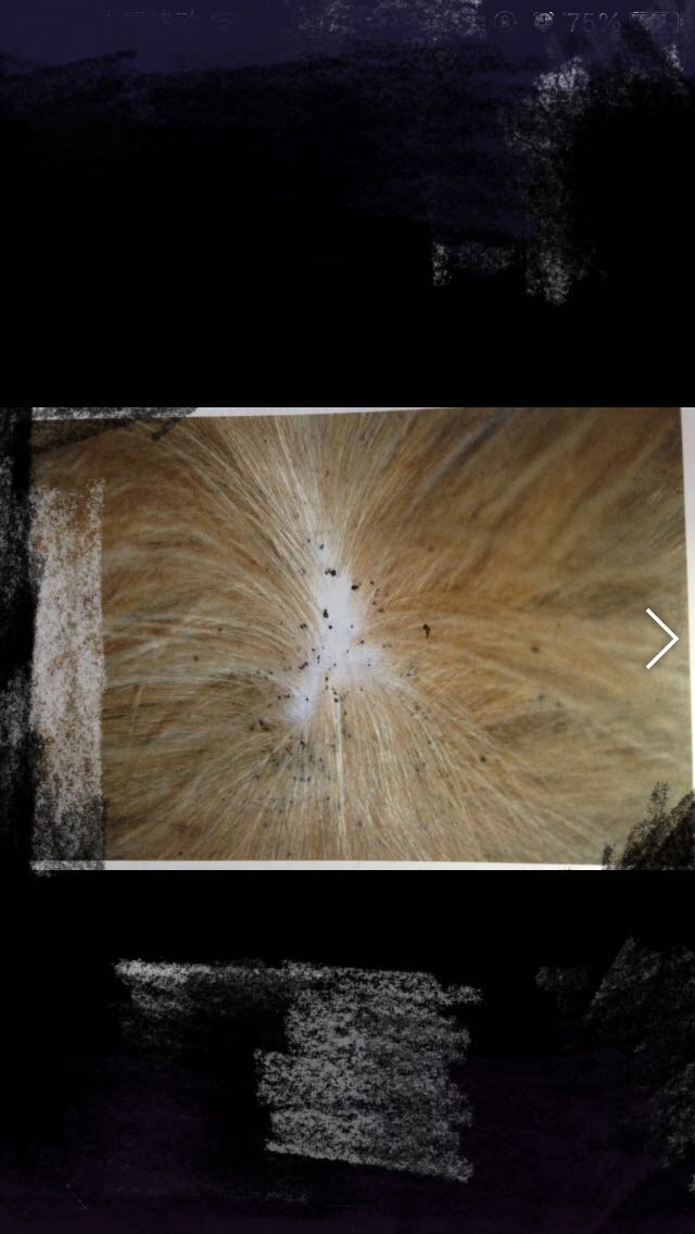 宠物医生如何预防狂犬病,宠物猫狗在什么环境下会得皮肤病