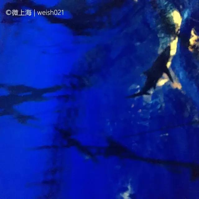 上海迪士尼有哪些可以玩的,上海迪士尼到底有啥玩