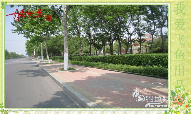 我爱飞鱼初探新钓点