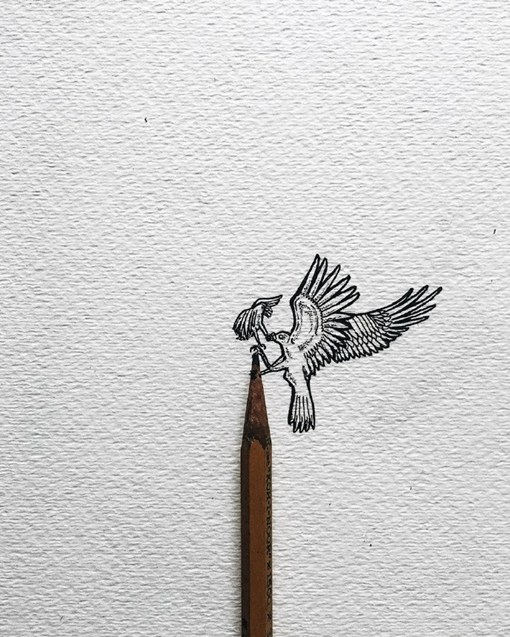 彩色铅笔画插画图片儿童,治愈系动物手绘插画铅笔