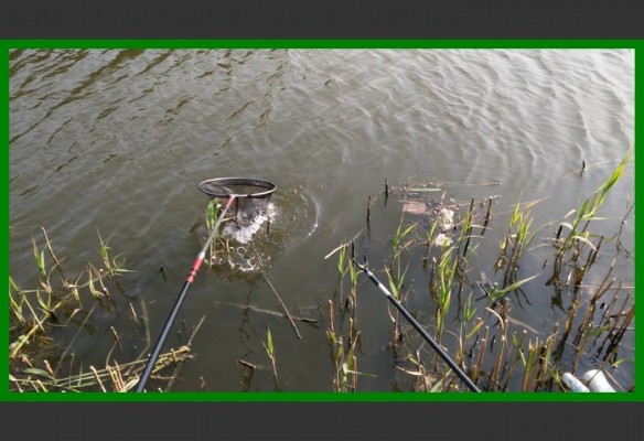 閲庨挀鐑х儰缁濅匠鐮佸ご,鎺ㄨ崘閽撻奔鐑х儰