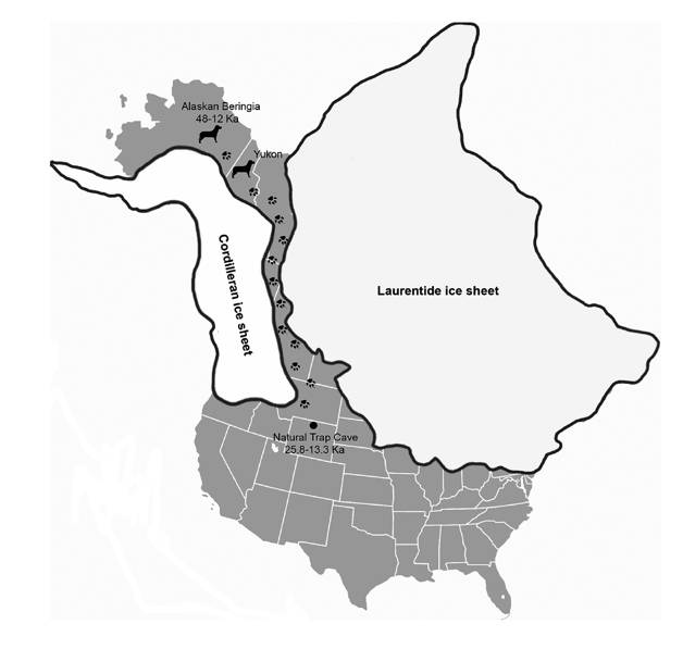 中国学者一流发现、水星凌日、抚平皱纹的神奇“面膜”｜每周科技