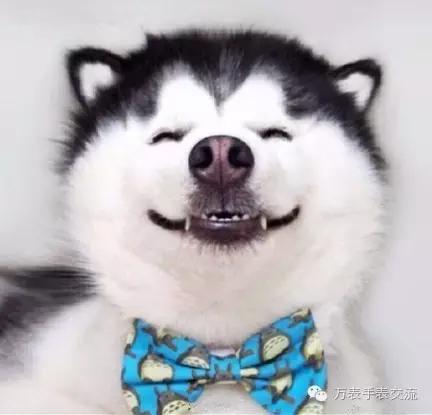 手表进水有水珠最快捷的处理方法,怎么维修进水的手表