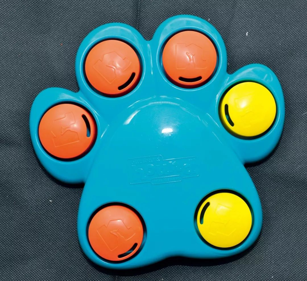 柴犬实测7款玩具：网络上的热门款玩具适合它玩耍吗？