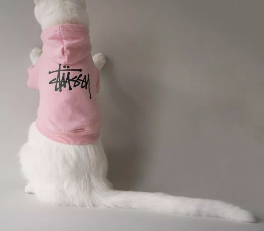 十二生肖驾到，时尚精们给我退下！