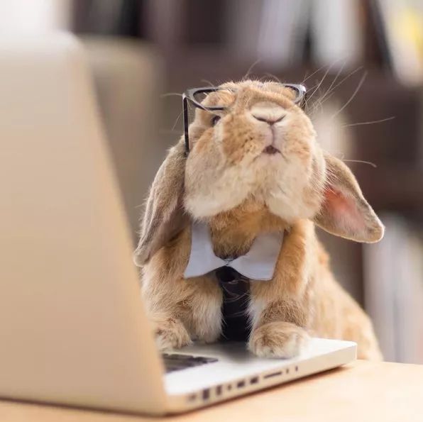 十二生肖驾到，时尚精们给我退下！