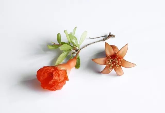 记忆里的那些花儿｜石榴花开，生如夏花之绚烂