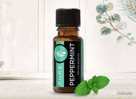 各种精油功效,有什么护肤精油好用