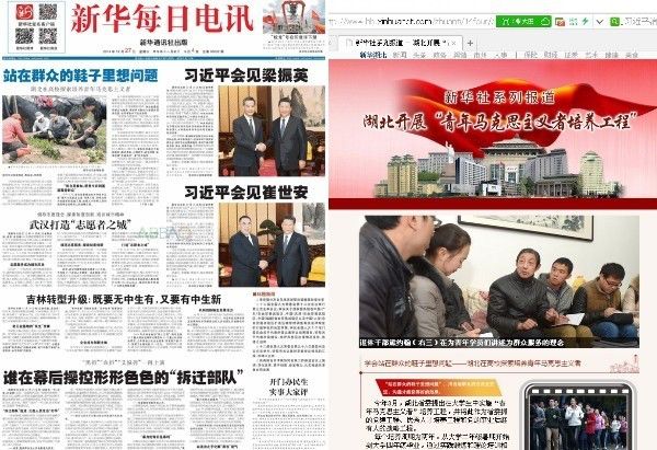 青马是什么马图片,大青马和一般的马