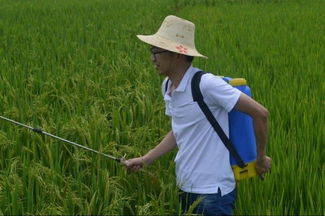 青马是什么马图片,大青马和一般的马