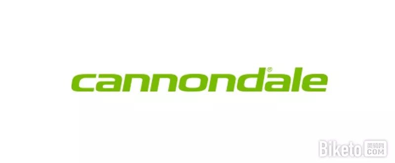 最新年度品牌销售排行榜,2018单品销量世界前十