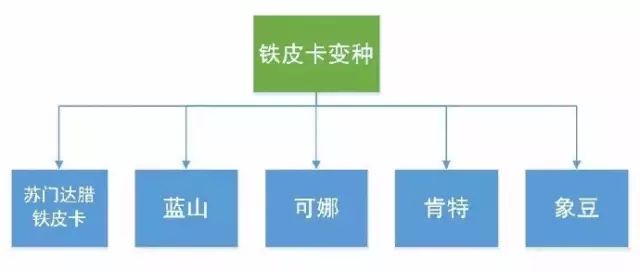 咖啡师入门必看的咖啡知识,精品咖啡学中咖啡的基本知识