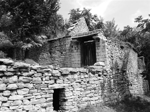 “娃拐子”拍小孩头，小孩就跟着他走