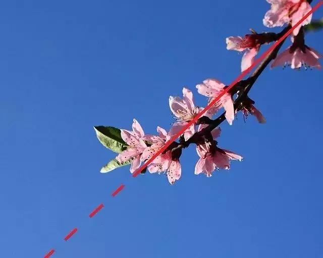 简单摄影教程全集,简单摄影照片教程