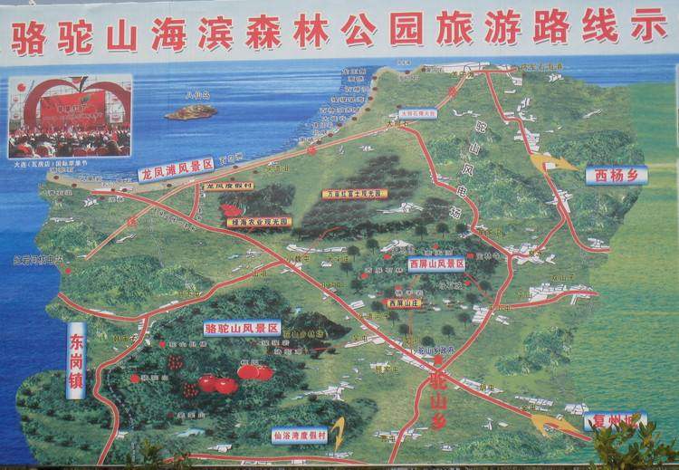 全国百强县级市瓦房店,瓦房店市简介