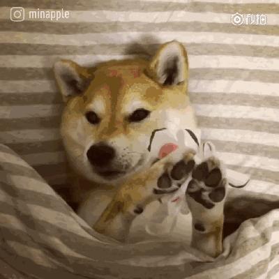 送女友礼物排行榜1000元左右,送女友父母24件礼物清单