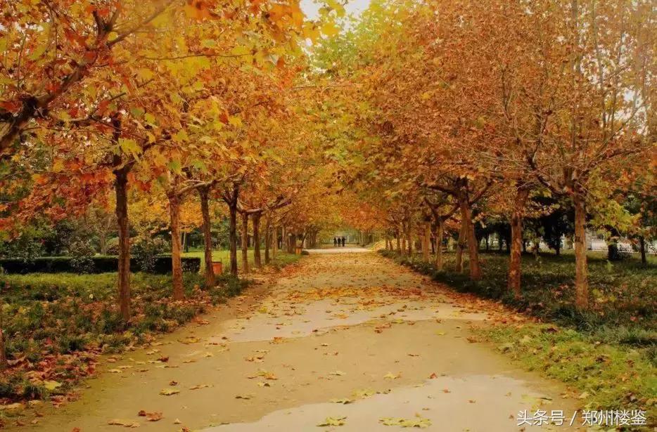 万科美景世玠优缺点,万科美景世玠北边地是二期吗