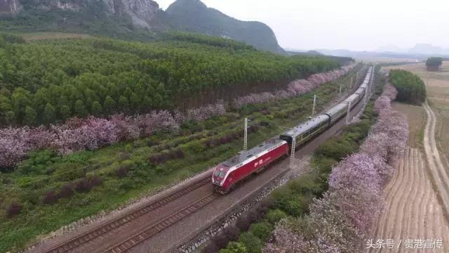 春运期间贵港火车站增开多趟列车，了解后抢票快人一步！