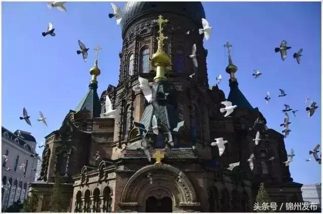 锦州到武汉特价机票,锦州湾机场到上海浦东机场机票