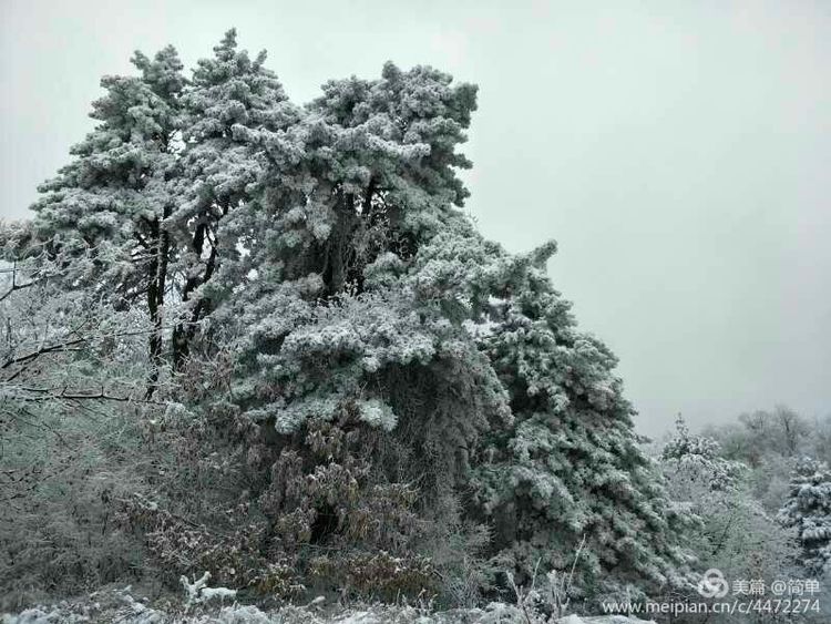 长白山雾凇天池,天池雪霁
