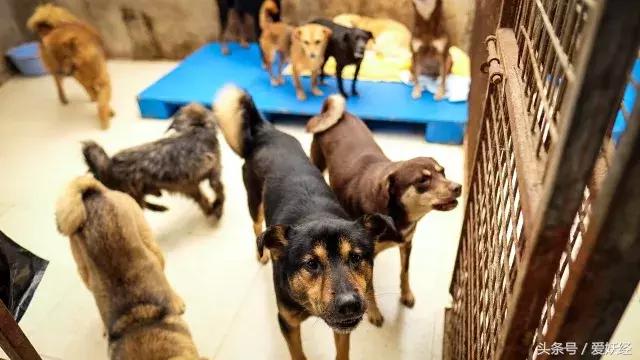 爱妖经陪你过暖冬｜爱要有你才温暖