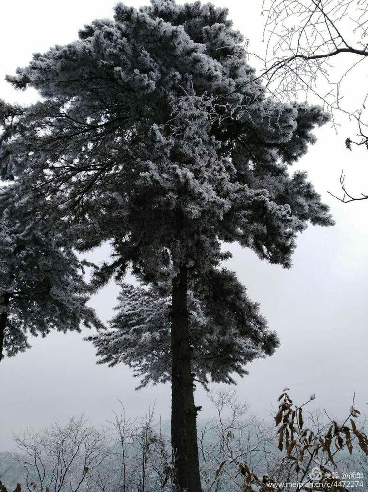 长白山雾凇天池,天池雪霁