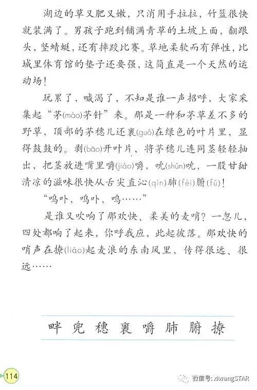 寒假预习复习人教版资料,四年级下册语文书电子版预习