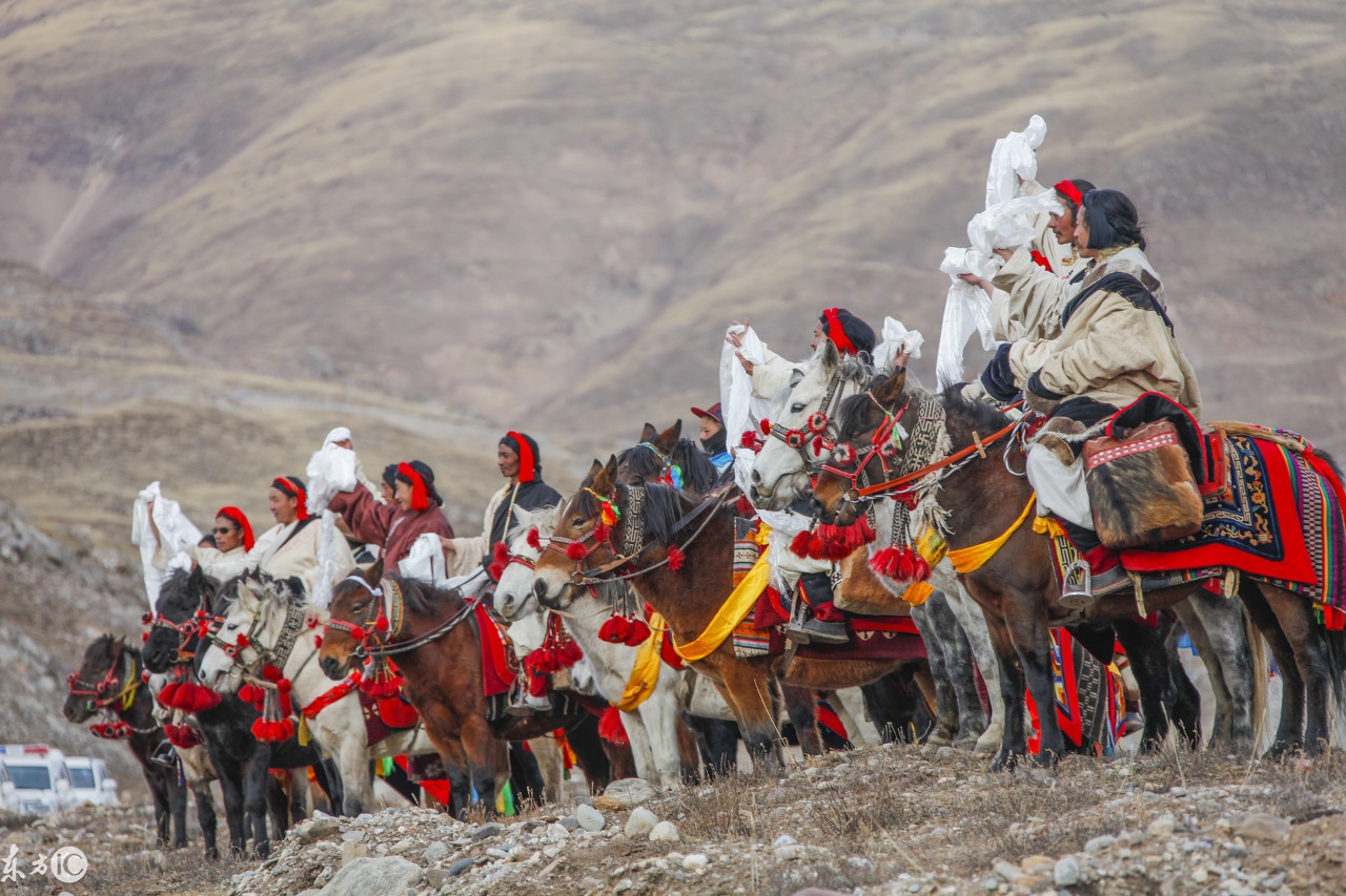 揭秘虫草市场,真正的虫草价格是多少