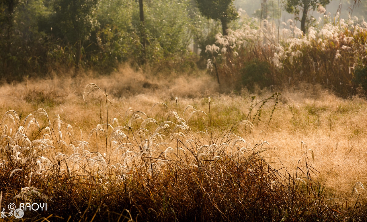 我的懒婆婆知乎,懒媳妇需要婆婆伺候