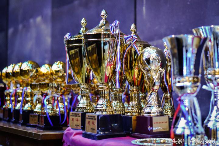 卡尔美成都城市足球联赛,卡尔美成都蓉城中甲球衣