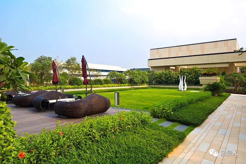 阳光草地美景,福州阳光草坪