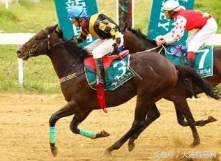 “吉祥如意”当选2017赛季玉龙马会年度马王:“赛事五魁”出炉