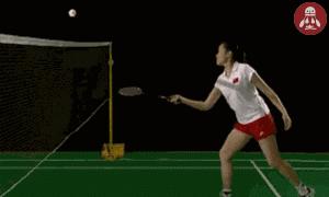 超简单锻炼手臂适合新手,练手臂动作如何不伤手腕