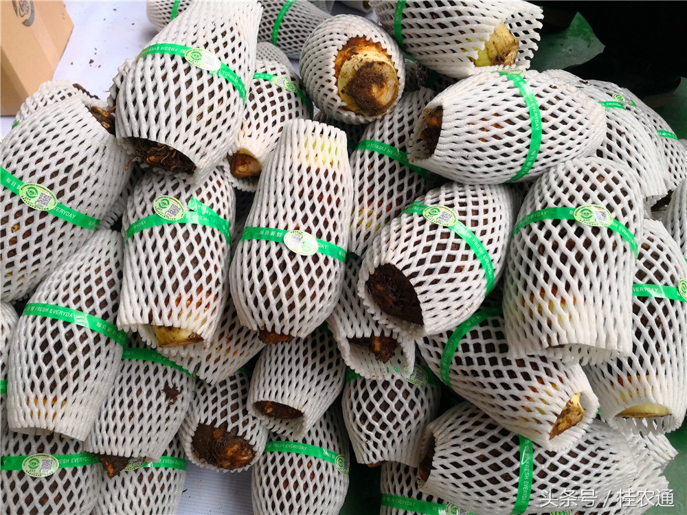 刘罗锅荔浦芋头生产在哪个市,荔浦芋头刘罗锅完整视频