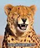 哥哥太爱我了怎么办小时候片段,哥哥太爱我了怎么办电视剧合集