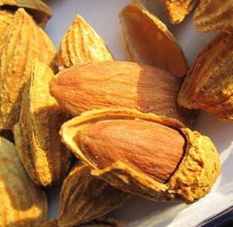 从新疆去内地带什么特产,这些土特产送亲朋好友有面子