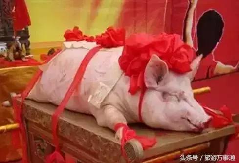 来新市古镇感受浓浓的年味,新春走基层古镇寻风情年味扑面来