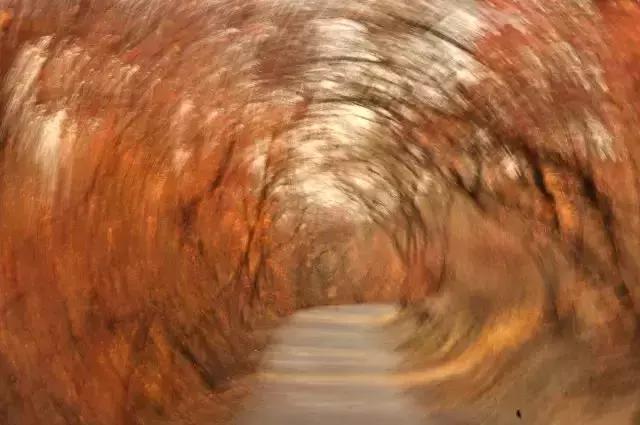 我想静静……市医院新设备新方法让您耳根清净!