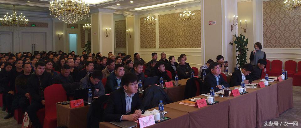 农业农村部继续大力发展农村电商,不忘初心砥砺前行乡村振兴