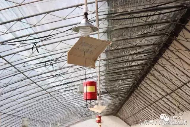 电热硫磺熏蒸器你真的会用吗,硫磺熏蒸器工作原理