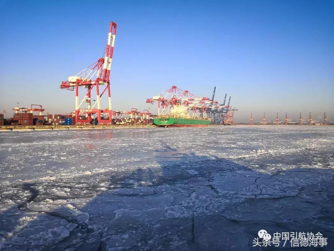 大海被冻住了是真的吗,引航员引航一次要多久