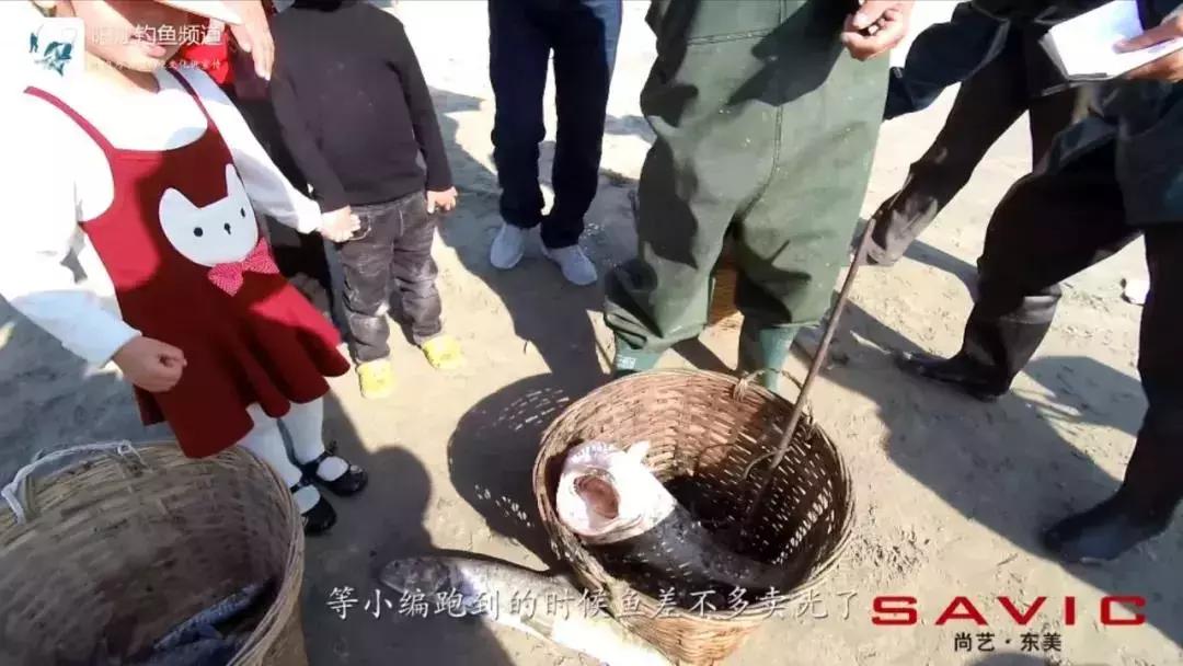 最佳钓鱼旅游地,海边旅游攻略钓鱼