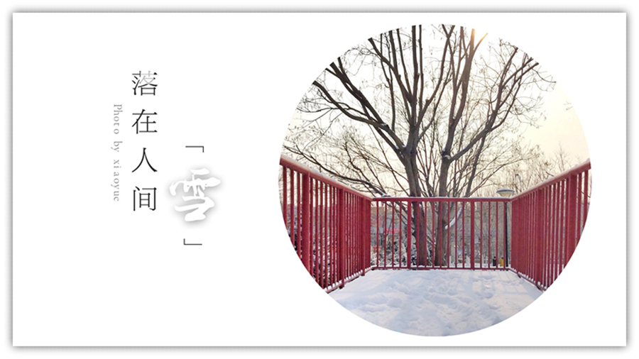 如何制作竖版照片,竖版照片文字排版