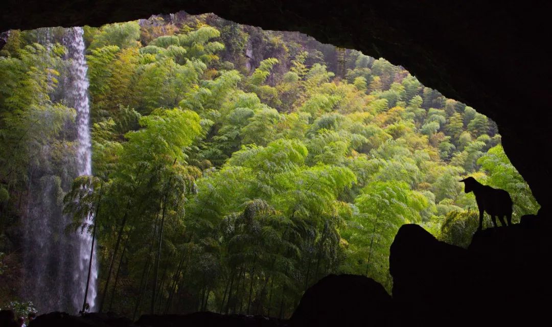 浙江安吉号称第一竹乡吗,安吉联合国最宜居城市