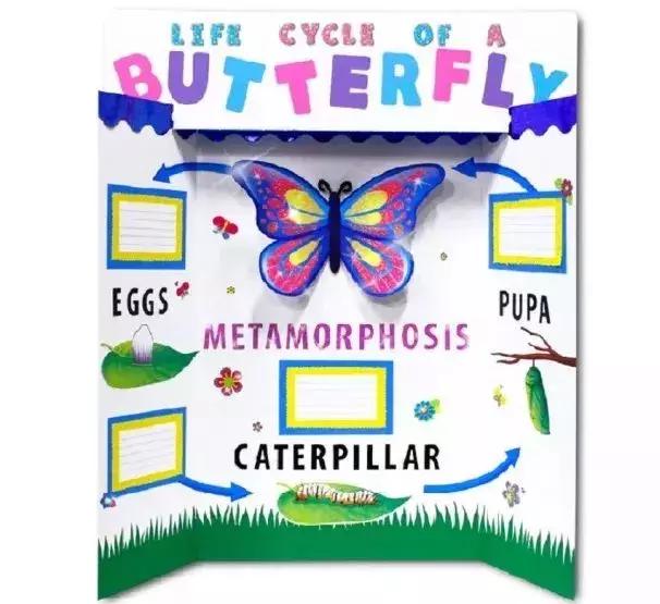 被手抄报搞疯的孩子,手抄报能做出什么样子