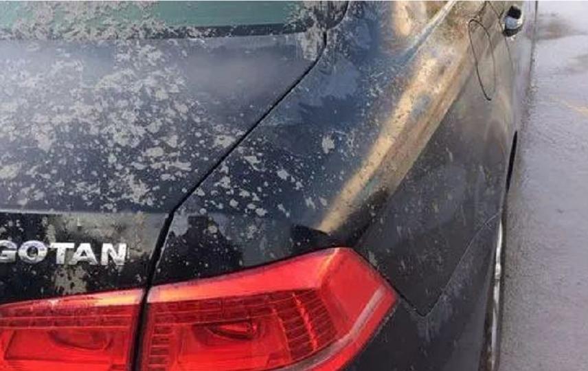 车漆上的水泥怎么消除,车漆上如何清除已凝固的水泥