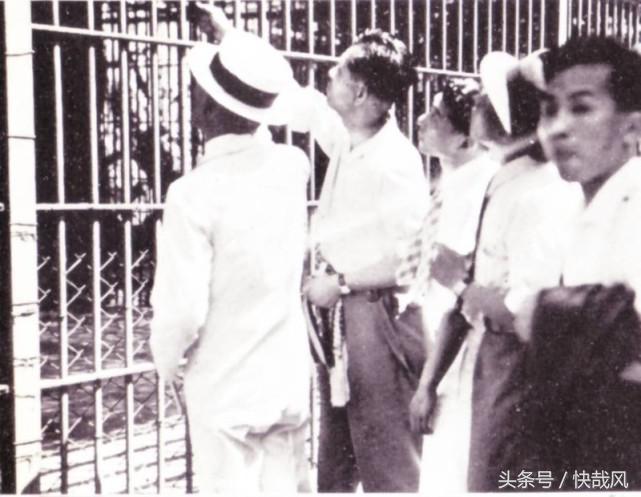 二战日本为何杀光动物园猛兽？一头逃走的黑豹造成东京大骚动