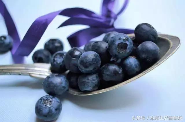 葡萄酒里面有哪些水果,喝葡萄酒前一定要知道的那些事