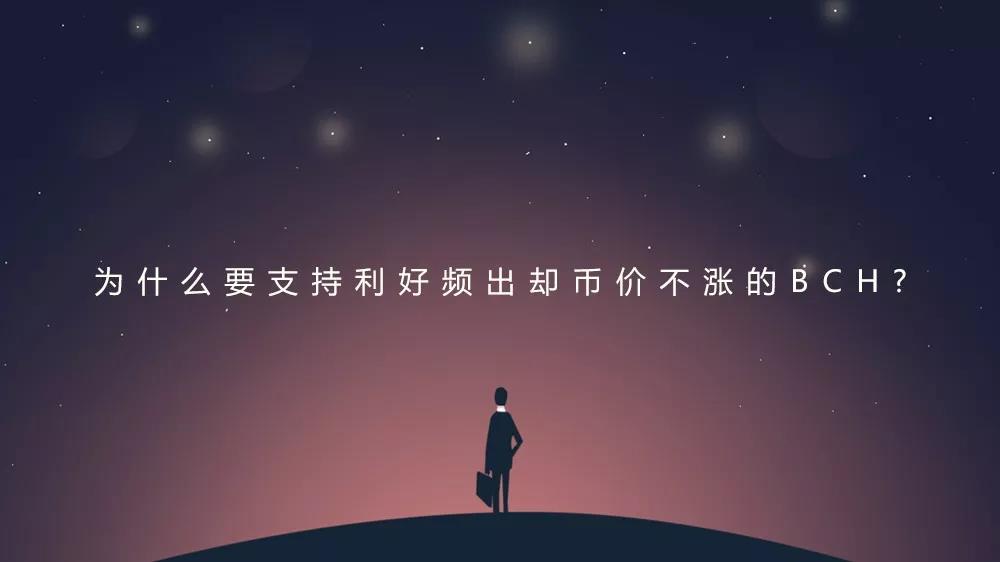 比特现金未来发展前景,bch比特现金已经无人认可