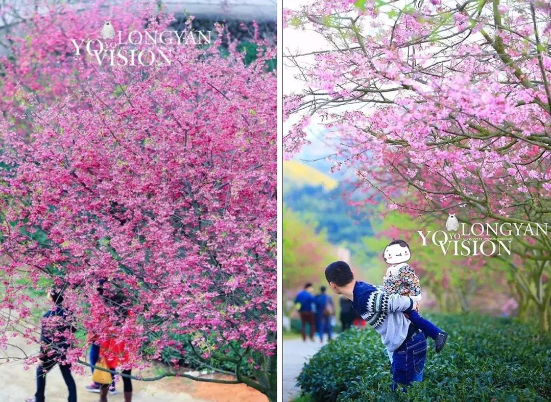 国内2月最美旅行地大推荐,风景线一路美到底(内附游玩线路)!